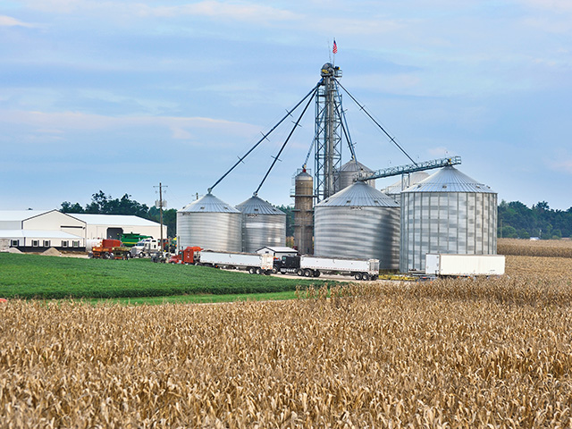 A 2016 USDA report stated that family farms -- small, large and medium -- accounted for 99% of farms and 89% of production in 2015, yet many people think big corporations own most of the U.S. farms. (DTN/Progressive Farmer file photo)