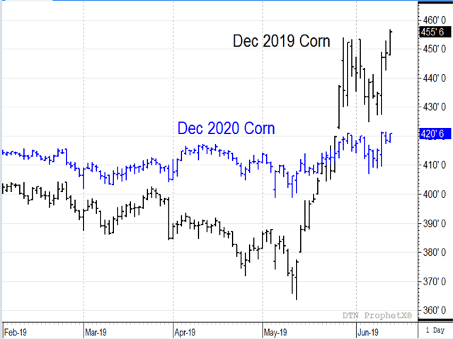 As 2019 corn prices go higher -- fueled by unusually harsh planting conditions -- the outlook for 2020 corn prices is becoming more bearish. (DTN ProphetX chart)