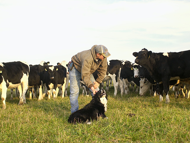 A good working dog will put as many hours as you do. Make sure if something looks off about her gait, a vet checks it out. (Progressive Farmer photo by Jim Patrico)