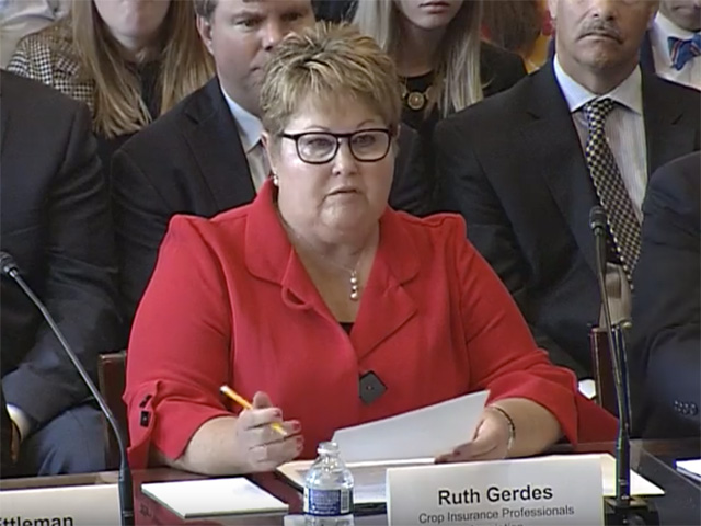 Ruth Gerdes, a crop insurance agent from Auburn, Nebraska, testifies Thursday before a House Agriculture Subcommittee as a representative of the Crop Insurance Professionals Association. Gerdes talked about the history behind some insurance coverage and concerns over insurance areas that need improvement, including some prevented planting rules. (DTN screenshot of hearing video stream) 