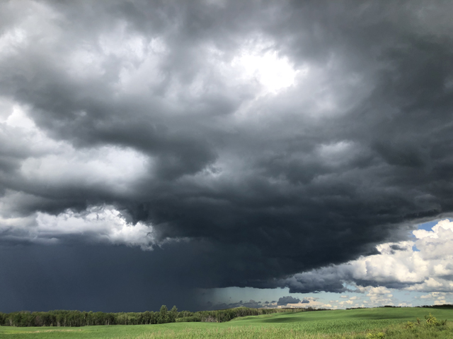 Storm clouds near Alticane, Saskatchewan in early July typify how northern portions and some eastern areas of the Canadian Prairies had a turnaround from dry to wetter in terms of crop moisture. (DTN photo by Elaine Shein)