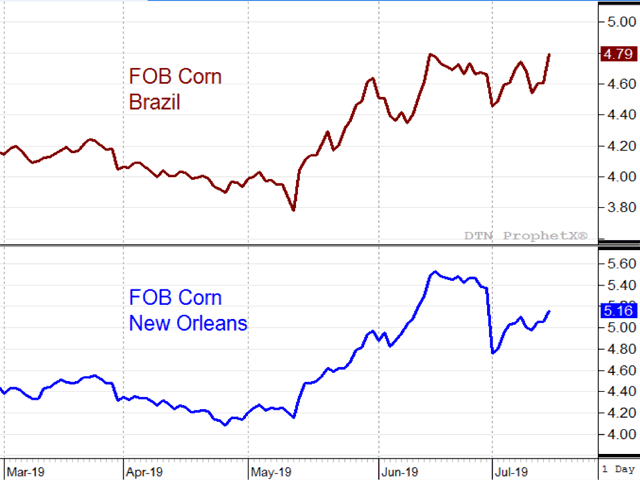 With a record corn crop of 101.0 million metric tons in 2018-19, Brazil is looking forward to higher prices and a boost in corn exports, which typically start in July. (DTN ProphetX chart)