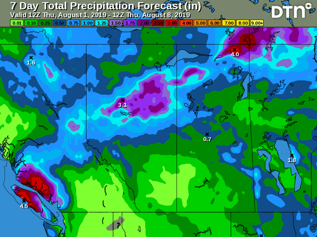 DTN's early August Canadian Prairies forecast precipitation map suggests the northwestern crop areas have heavy amounts ahead, while amounts in southern and central sectors will be much lighter. (DTN chart)
