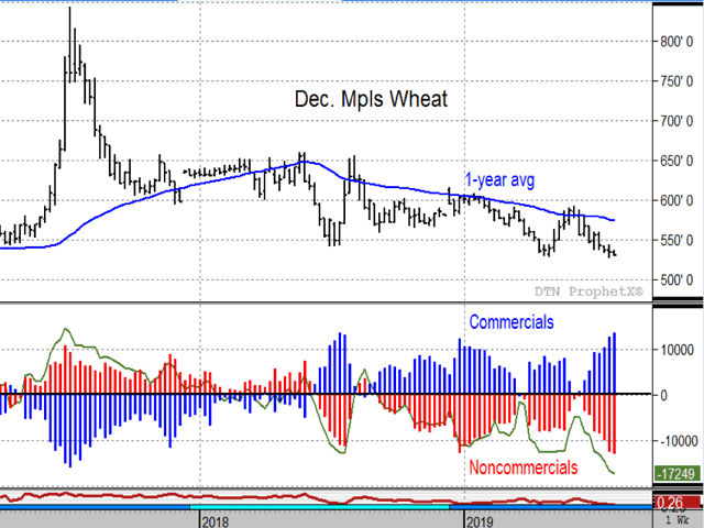 The chart above of weekly December Minneapolis wheat prices shows commercials responding favorably to spring wheat near its lowest prices in over two years. The market is oversold and it will be interesting to see if a price reversal is near. (DTN ProphetX chart)