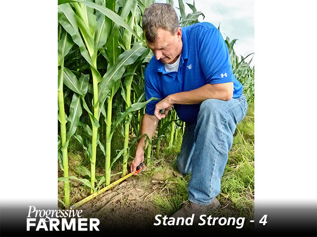 David Castleberg of Chatfield, Minnesota, checks corn spacing and planter performance. (DTN/Progressive Farmer photo by Jim Ruen)