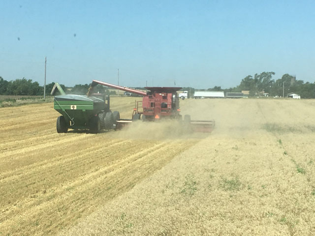 Winter wheat harvest on July 2 near Viola, Kansas. (Photo by Scott Van Allen)