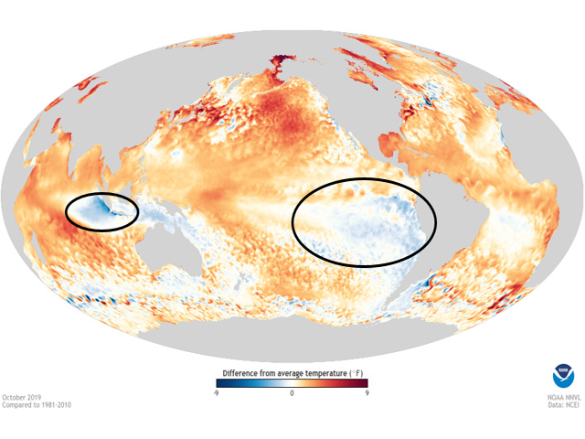 World ocean conditions in October were mostly warm. Cooler trends were noted only in the eastern Pacific Ocean and part of the Indian Ocean. (NOAA graphic)
