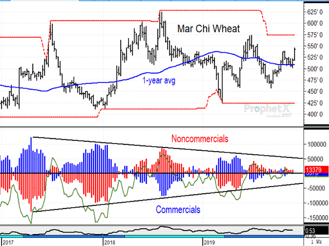 The weekly chart above shows while March Chicago wheat prices have been trading roughly sideways since 2017, net positions among commercials and noncommercials have been diminishing in size and were roughly neutral before the latest rally (DTN ProphetX chart).