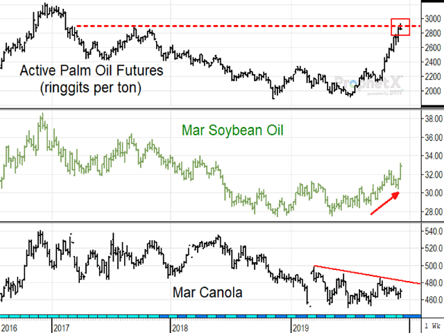 Just as palm oil futures encountered resistance this week from a two-and-a-half-year high, March soybean oil broke to a new one-year high and March canola stayed in its sideways formation (DTN ProphetX chart).