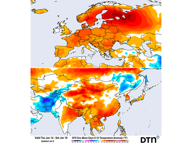 The forecast suggests an above normal temperature pattern is likely to continue during the next 10 days across Europe. There is currently no significant snow cover to protect the crop if there was a sudden and as of now unexpected cold snap. (DTN graphics)