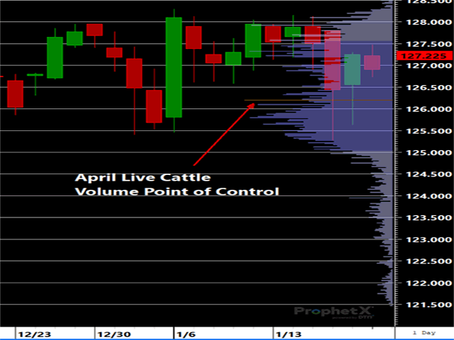 The VPOC in April Live Cattle sits at 126.200 and should continue to act as support with a vested interest in prices remaining above that level. (DTN/ProphetX chart)