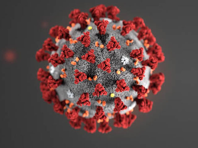 The coronavirus COVID-19 has continued to lead to more cases globally over the past few days, especially in Europe and South Korea. After the stock market declines this week, President Donald Trump is blaming the media for causing panic in the markets. (Image of COVID-19 courtesy of the Centers for Disease Control)