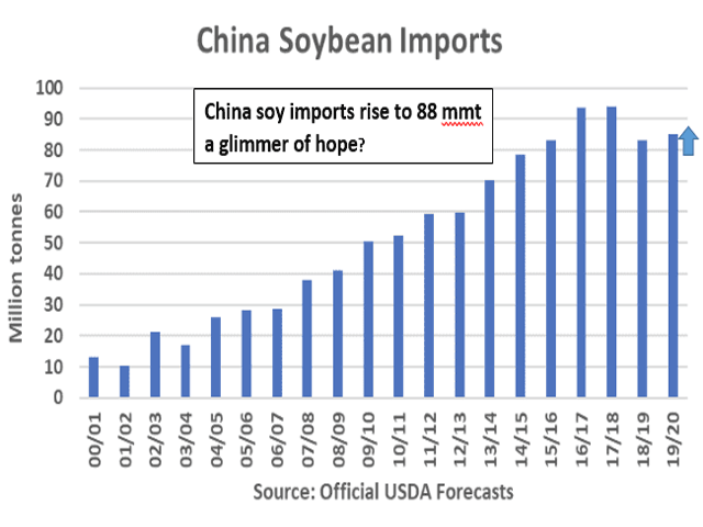 This chart shows the progression of China soybean imports. For the first time in the last several years, China soybean imports have increased -- perhaps a good sign following the phase-one deal. (USDA graphic)