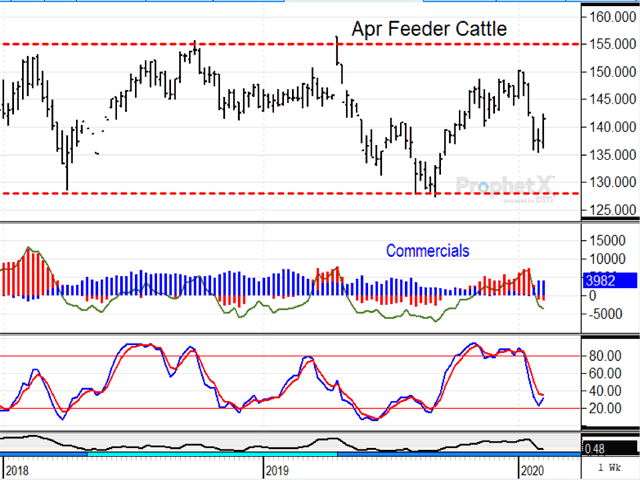 For over two years, April feeder cattle have held sideways between $128 and $155 and may be getting ready to challenge resistance. Prices fell to $135 recently, pressured by concerns about trade, the world economy and coronavirus, but found support last week from commercials attracted to feeders' cheaper prices (DTN ProphetX chart).