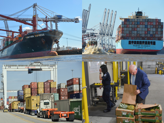 The Port of Savannah is seeing a growing business of produce imports, leading to a demand for more USDA inspectors to handle the volume. The cold containers used for produce also help poultry exports out of Savannah, which is the largest port in the country for poultry. (DTN photos by Chris Clayton) 