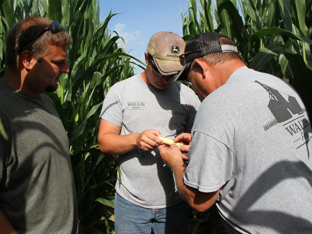Like many farmers, Scott Wallis and his farming partners, J.R. (holding corn) and Brad Winter (left) will be watching for every opportunity to head to the field this year as they recall the late planting season of 2019. (DTN photo by Pamela Smith) 