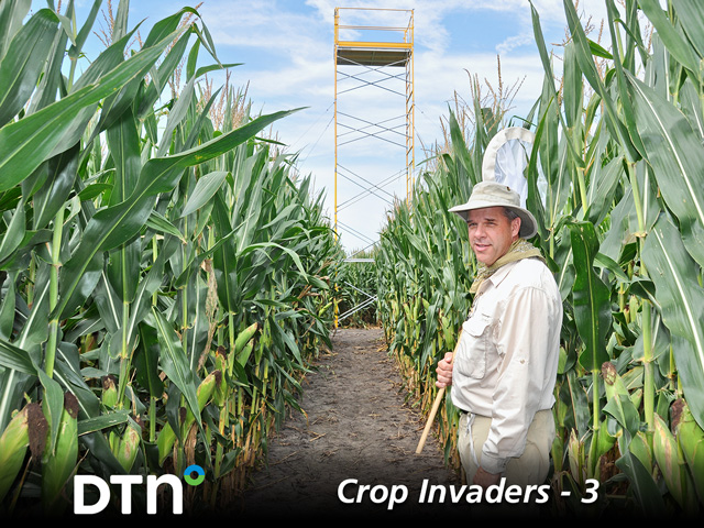 Joe Spencer stands in front of one of his 30-foot towers, which he scales each summer to track rootworm beetle population. (DTN photo by Emily Unglesbee)