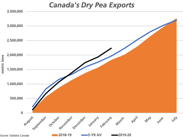 The black line represents the cumulative exports of dry peas from Canada, which remains ahead of the 2018-19 pace (brown shaded area) and the 2018-19 pace, represented by the blue line. (DTN graphic by Cliff Jamieson)