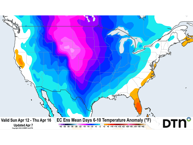 Forecast models feature a cold pattern to grip the nation during Easter week. (DTN graphic)     