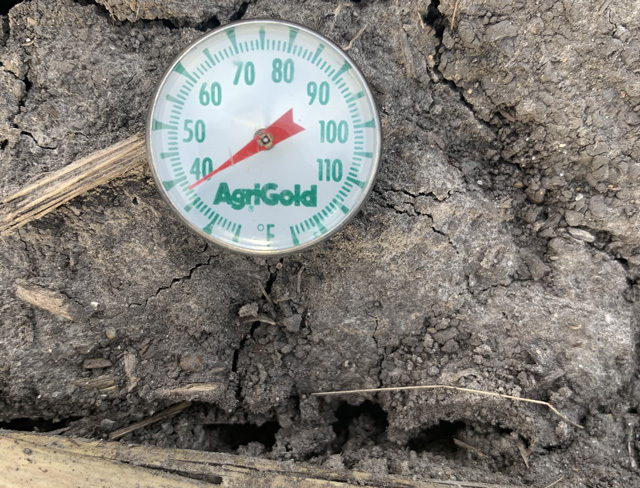 Soil temperatures 4 inches below the surface were still well under 40 degrees Fahrenheit on Thursday morning in east-central Illinois, where Ehler Bros. sales agronomist Kris Ehler is urging growers to hold off on planting until soils warm up. (Photo courtesy of Kris Ehler)