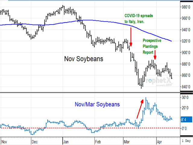 Less than four months into 2020, November soybean prices have been pressured lower by disappointment in the phase-one U.S.-China trade agreement and by coronavirus concerns. Amid the bearishness, the Nov/Mar soybean spread has been trading at a bullish inverse, an unexpected sign of stronger-than-expected demand for the November contract. (DTN ProphetX chart).