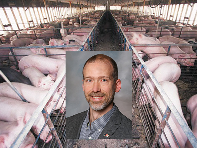 Walcott, Iowa, farmer Mike Paustian, president of the Iowa Pork Producers Association, said the big question right now in the pork industry is just how long packing plants will remain idle. Producers could face some difficult questions if packing capacity does not return soon. (DTN file photo; photo of Paustian courtesy of IPPA)  