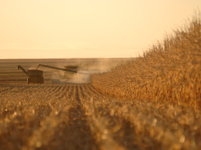 Proposed reform to the Renewable Fuel Standard would create a fund to help farmers return croplands to wildlife habitats and grasslands. (DTN file photo)