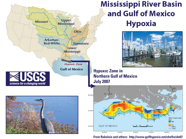 Efforts to reduce the size of the hypoxic zone in the Gulf of Mexico have been slow. (DTN graphic) 