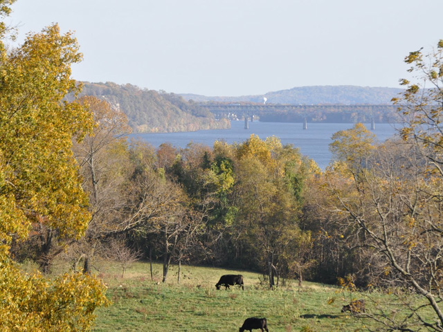 The Chesapeake Bay total maximum daily load plan is working because many industries have come together to solve the nutrient runoff problem, according to Ben Grumbles, Maryland&#039;s secretary of the department of the environment and a former assistant administrator for water at the EPA during the George W. Bush administration. (DTN file photo by Chris Clayton)