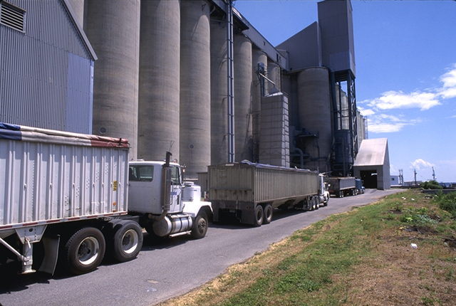 A provision in the new tax law could end up causing farmers to deliver their grain and other commodities largely to cooperatives at the expense of private grain companies. (DTN file photo)