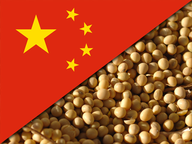 Soybeans rallied Monday following news over the weekend from the White House that China has agreed to immediately start buying more U.S. agricultural products. Still, it remains to be seen if China will follow through. (DTN photo illustration) 