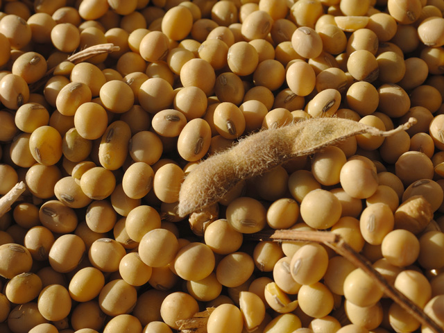 There are still a lot of questions about China soybean buys for the 2019-20 marketing year, but China will likely need fewer beans because of African Swine Fever. (DTN/Progressive Farmer file photo by Jim Patrico)