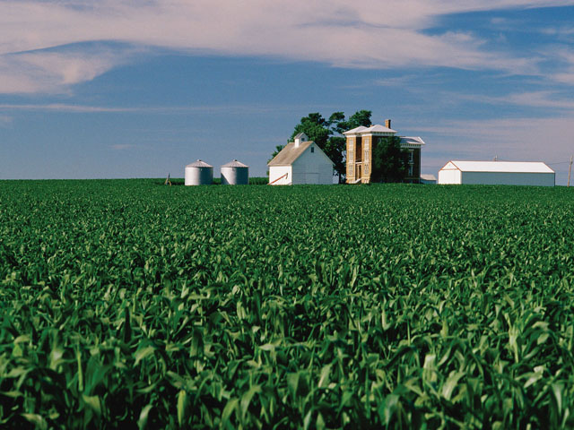 A lawyer who helps farms in distress said strategies work only when producers support the measures. (DTN file photo)