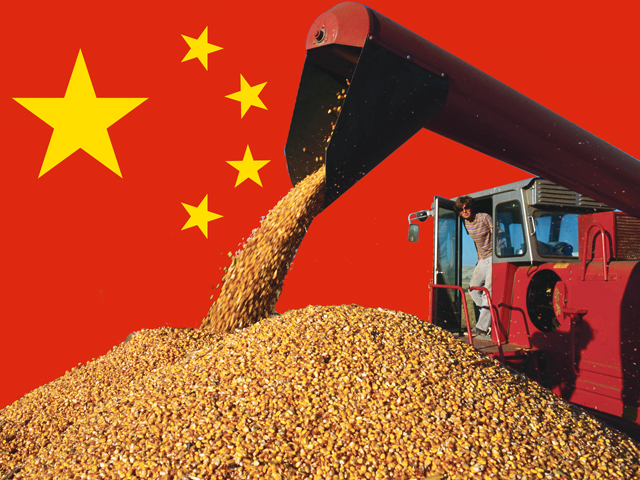 The Chinese government has created a national E10 mandate to handle corn stockpiles. (DTN illustration by Nick Scalise)