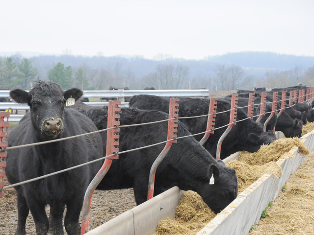 A livestock emissions reporting rule is set to take effect on Wednesday. (DTN file photo)