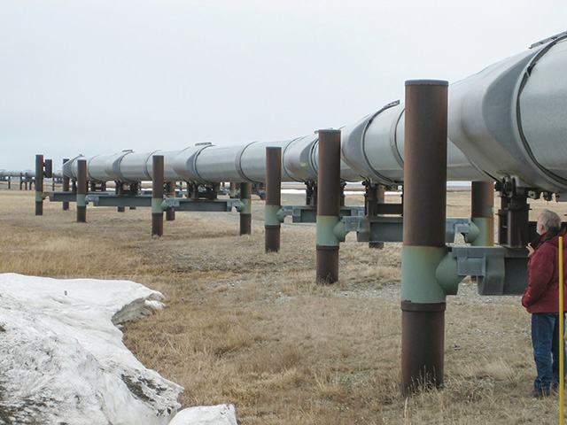 Twenty-one states have asked a federal court to declare illegal an executive order canceling the Keystone XL pipeline. (DTN file photo)