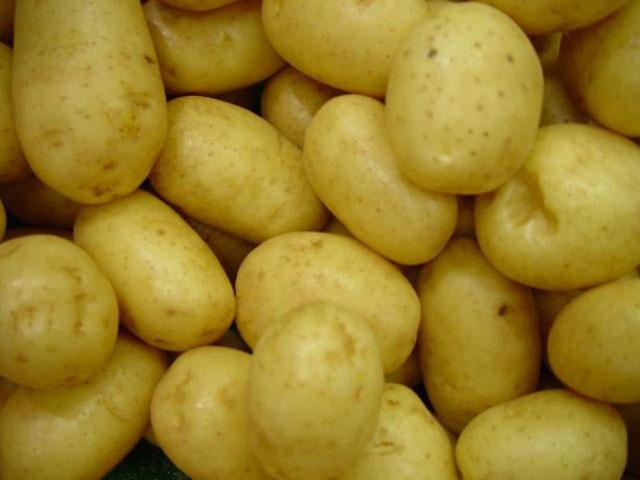 USDA on Tuesday announced the potential end to 25 years of frustration and limited market access for the potato industry with Mexican officials agreeing to allow full market access to U.S. fresh potatoes by May 15. Mexico is the largest buyer for all U.S. potatoes, but full market access for fresh potatoes could lead to a four-fold expansion in sales to Mexico. (DTN file photo)