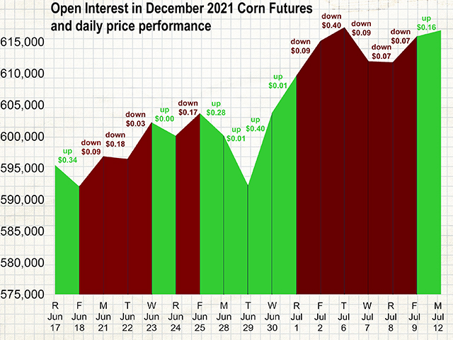 New-crop corn futures prices don&#039;t always fall when there&#039;s a selloff in open interest (the number of futures contracts currently held by traders). Similarly, prices don&#039;t always rise when open interest increases. (Chart by Elaine Kub)