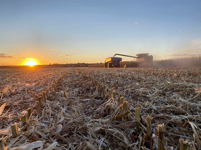 Pictured is corn harvest on the Quentin Connealy farm Tekamah, Nebraska. Connealy said harvest in his area was pretty fast and furious with only a couple of snow and drizzle days. Connealy said they started harvest on Sept. 21 and ended on Nov. 8 with their last field of corn. (Photo by Mike Camron)