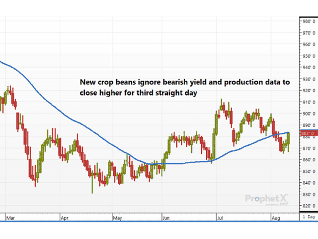 This chart shows November soybeans closing nearly 10 cents higher, and up for the third straight day, despite the larger-than-expected and record-large bean yield and higher domestic ending stocks. Higher crush and exports suggest that the recent surge in Chinese buying is likely to continue. (DTN ProphetX chart by Dana Mantini)