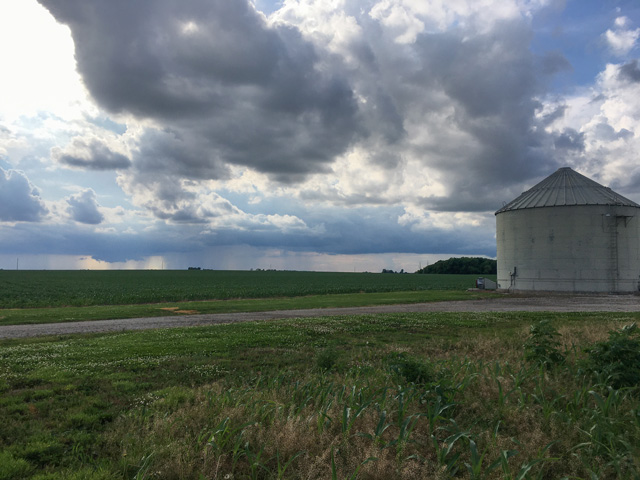 Rain falls in the distance beyond this central Illinois field. Moisture was hit or miss for DTN Farm Advisers this June, widening the gap between the have and have-nots of the season. (DTN photo by Pamela Smith)