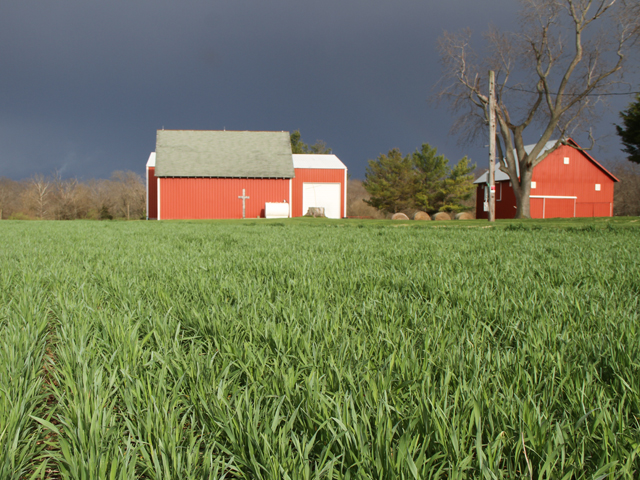 Real property encompasses almost all business use or investment real estate (except for real estate held as inventory). This includes structures like houses, apartments, hotels, factories, office buildings, warehouses, barns and other farm structures (that are not removable). (DTN file photo by Pamela Smith)