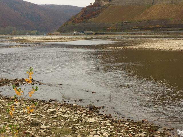 The Mighty Rhine River, which runs northwest from Switzerland through Germany, France, and the Netherlands into the North Sea, has been shrinking due to the long heatwave and lack of rain. (DTN photo Mary Kennedy)