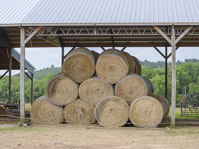 Hay prices vary by region. Those areas which saw decent moisture last growing season have lower prices than those that did not. (DTN file photo)
