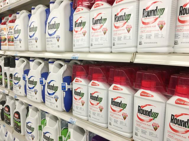 Bayer is asking a federal appeals court to rule that states cannot place warning labels on Roundup because the EPA has determined the glyphosate-based product poses no cancer risk. (DTN file photo)