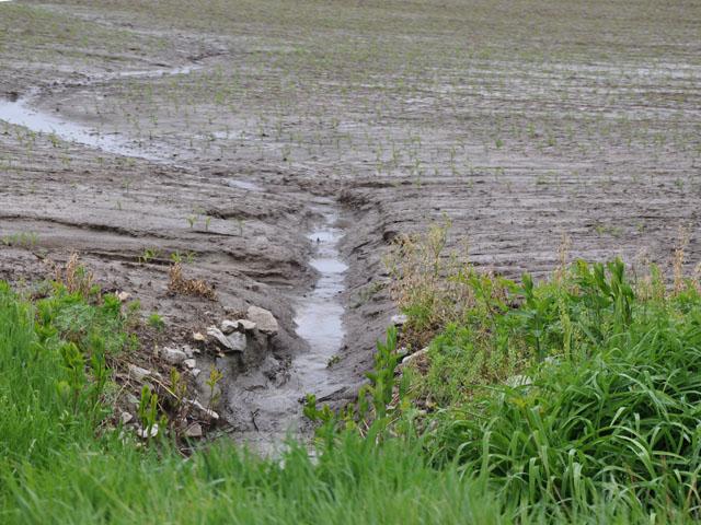 A recent USDA study that surveyed row crop farmers reported soil concerns on 49% of their fields, with water-driven soil erosion surfacing as the most common problem. (DTN photo by Chris Clayton) 