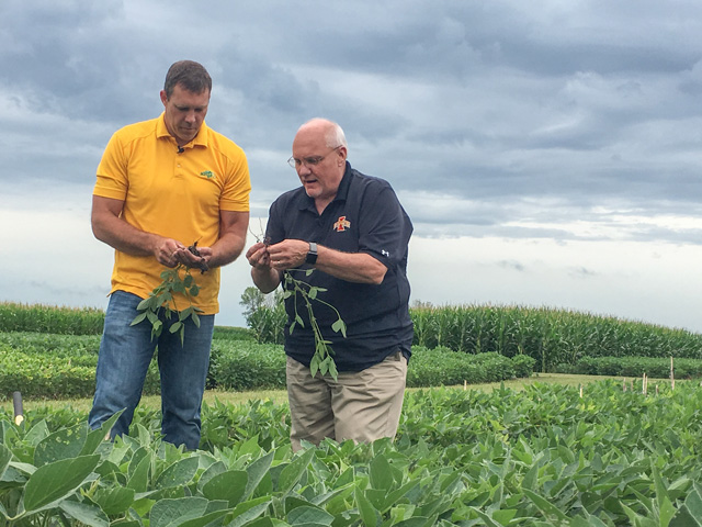 Soybean cyst nematodes are sneaky -- but costly -- invaders that need to be managed to avoid yield loss, according to University scientists Sam Markell (left) and Greg Tylka (right). (DTN photo by Pamela Smith)