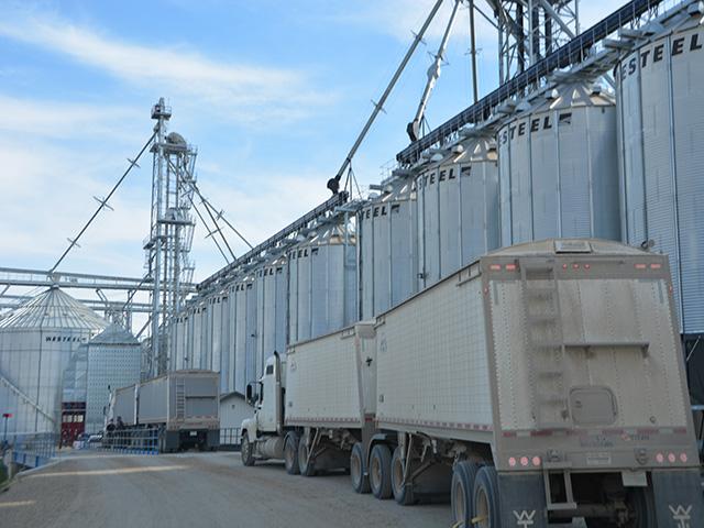 A grain elevator near Lajord, Saskatchewan, Canada, takes delivery late last week. Farmers in the province are concerned that federal government goals to cut fertilizer emissions by as much as 30% could negatively impact crop production going forward. (DTN photo by Chris Clayton) 