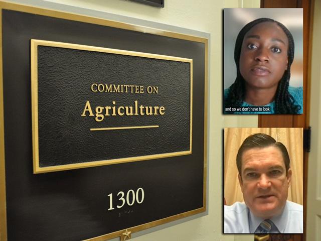 Shakera Raygoza, a young farmer who owns a small organic farm in Texas, was among a panel of witnesses at a hearing largely meant to focus on the farm bill and USDA climate programs. Rep. Austin Scott, R-Ga., and other GOP lawmakers stressed the committee should be looking at food-security risks due to the Russian invasion of Ukraine. (DTN image from hearing livestream)