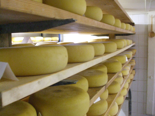 About 90% of the milk produced by Wisconsin dairies is converted into cheese sold out of state and exported. Cheese exports are increasingly battling market barriers from Europe and its geographical indicator laws that block the sale of cheeses with common names such as parmesan, asiago or feta cheeses. U.S. dairy leaders want the next administration to more aggressively focus on competing with the EU for dairy access globally. (DTN file photo)